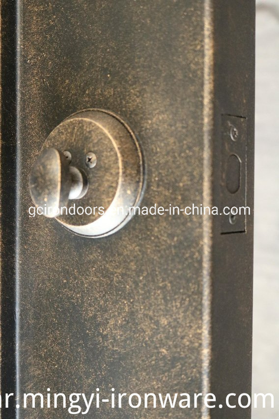 Popular Elegant Design Steel Door for Luxury House